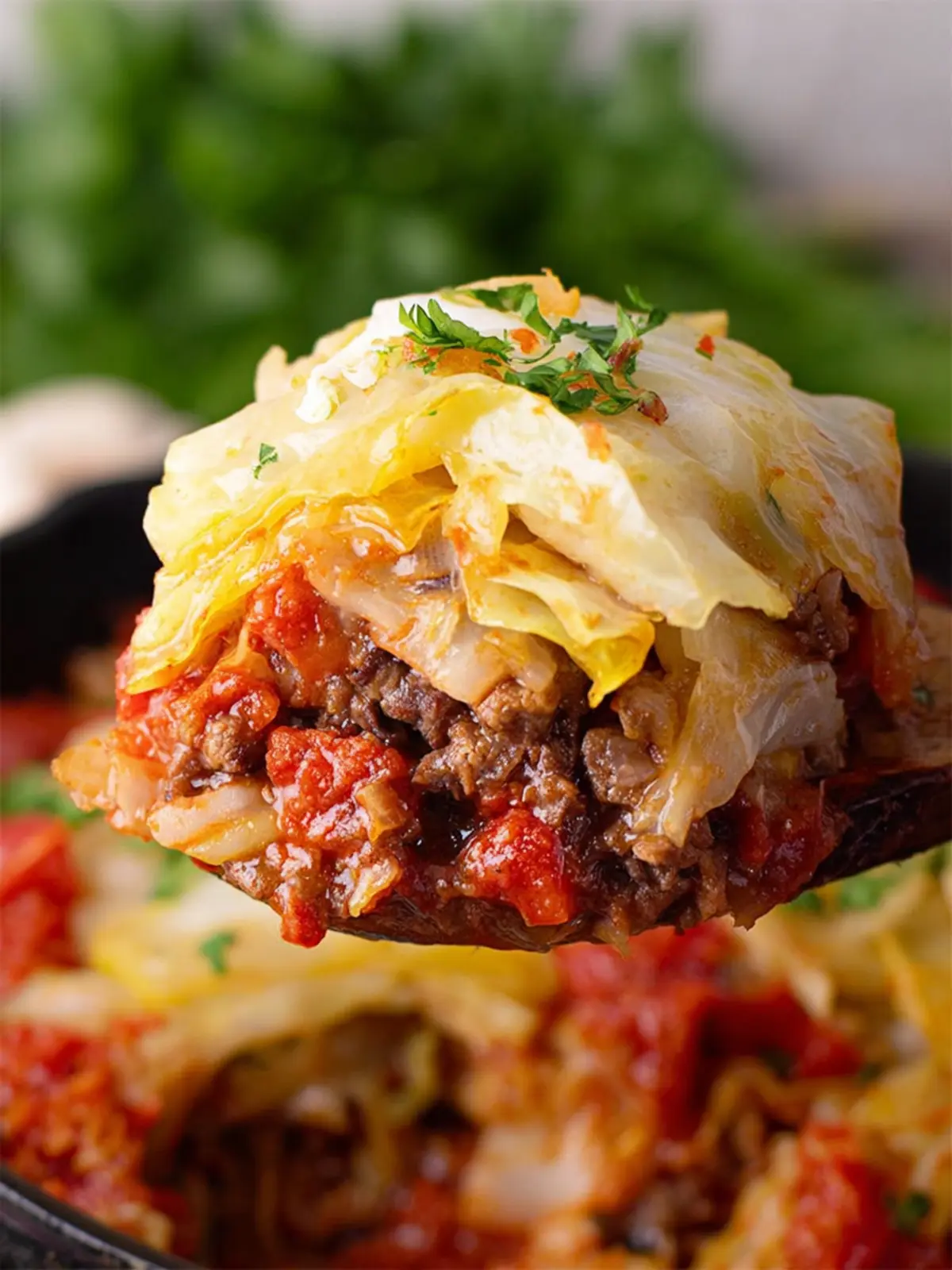 vfcy4bbzwo80l89aaltf